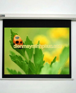 Màn chiếu điện Dalite 246 inches (197