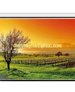 Màn chiếu điện Dalite 300 inches (240